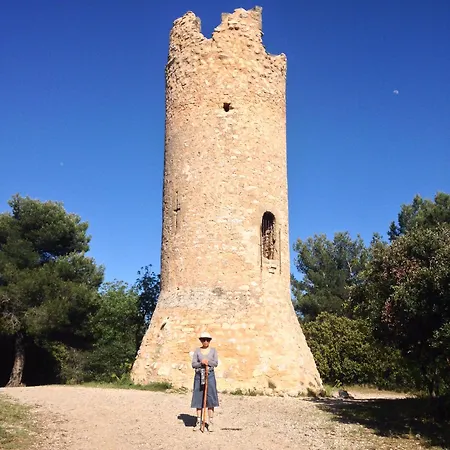Les Cedres * Aix-en-Provence